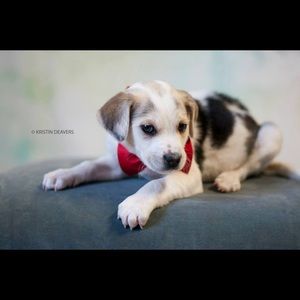 Meet your Posher, Ethel